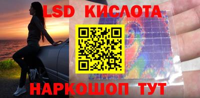 дживик Кингисепп