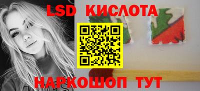 дживик Кингисепп