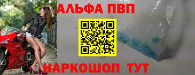 дживик Кингисепп