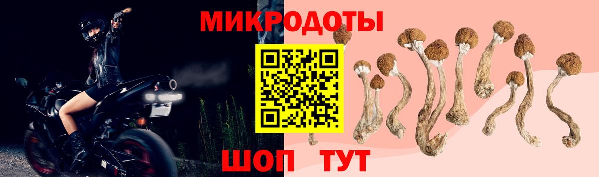 наркотики  Вход с VPN  Красноуфимск  Галлюциногенные грибы Cubensis 