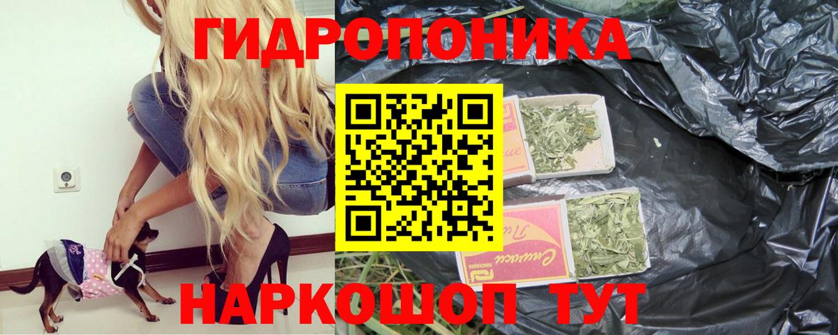 Марихуана OG Kush Красноуфимск